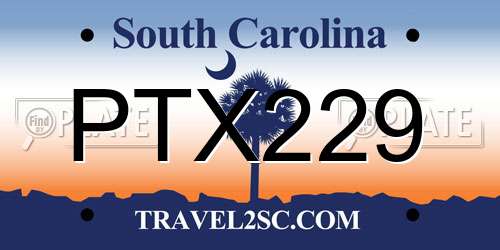 PTX229 South Carolina License Plate