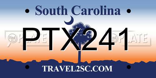 PTX241 South Carolina License Plate