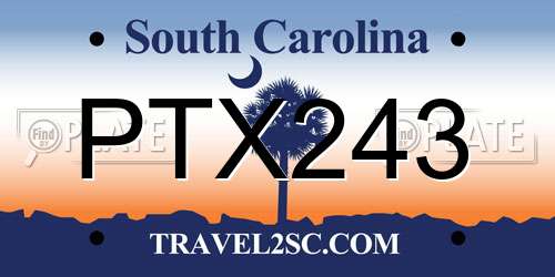 PTX243 South Carolina License Plate