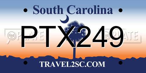 PTX249 South Carolina License Plate