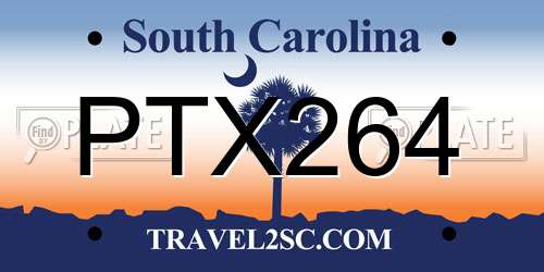 PTX264 South Carolina License Plate