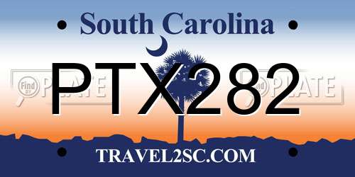 PTX282 South Carolina License Plate