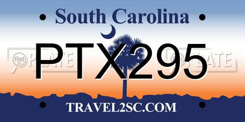 PTX295 South Carolina License Plate