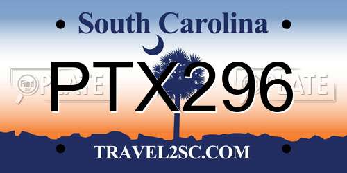 PTX296 South Carolina License Plate