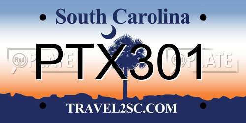 PTX301 South Carolina License Plate