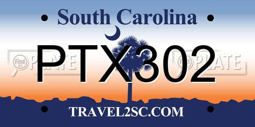 PTX302 South Carolina License Plate