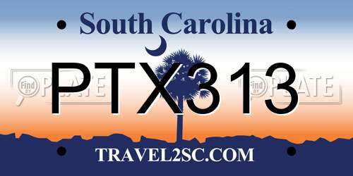 PTX313 South Carolina License Plate