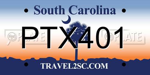 PTX401 South Carolina License Plate