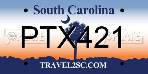 PTX421 South Carolina License Plate