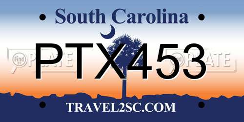 PTX453 South Carolina License Plate