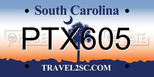 PTX605 South Carolina License Plate