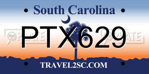PTX629 South Carolina License Plate