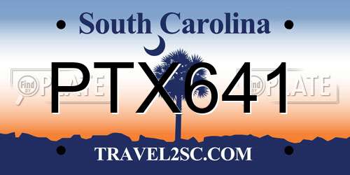 PTX641 South Carolina License Plate