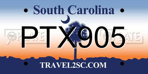 PTX905 South Carolina License Plate