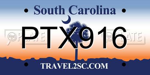 PTX916 South Carolina License Plate