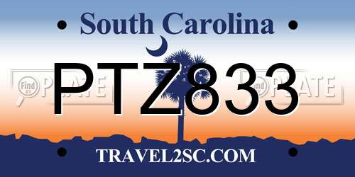 PTZ833 South Carolina License Plate