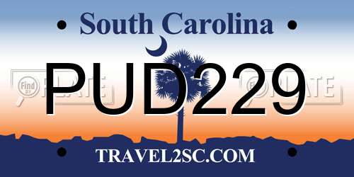 PUD229 South Carolina License Plate