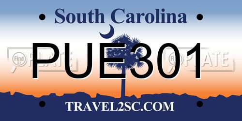 PUE301 South Carolina License Plate