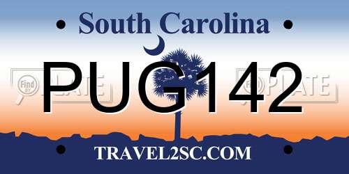 PUG142 South Carolina License Plate
