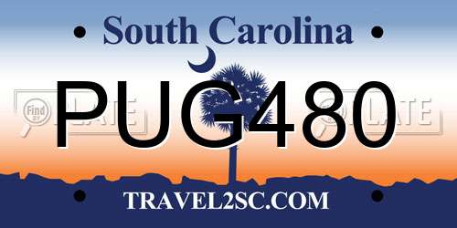 PUG480 South Carolina License Plate