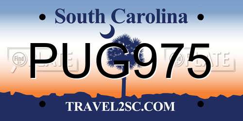 PUG975 South Carolina License Plate