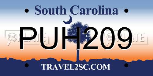 PUH209 South Carolina License Plate
