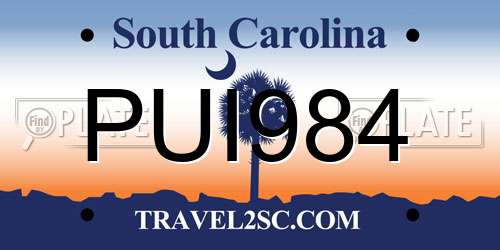 PUI984 South Carolina License Plate