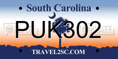 PUK302 South Carolina License Plate