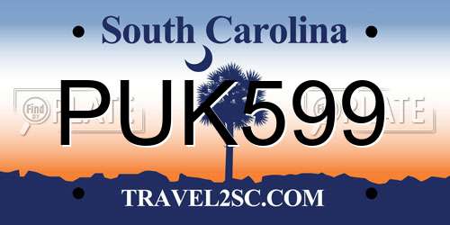 PUK599 South Carolina License Plate