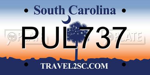 PUL737 South Carolina License Plate