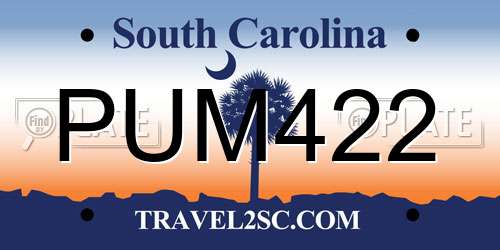 PUM422 South Carolina License Plate