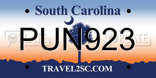PUN923 South Carolina License Plate