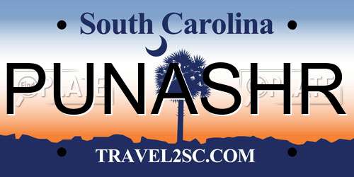PUNASHR South Carolina License Plate