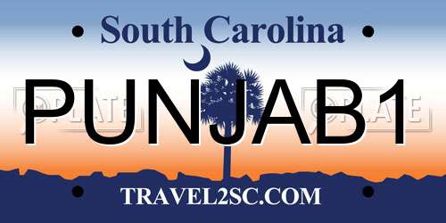 PUNJAB1 South Carolina License Plate