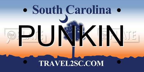 PUNKIN South Carolina License Plate