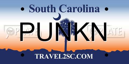 PUNKN South Carolina License Plate