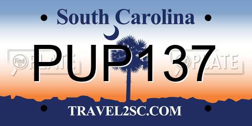 PUP137 South Carolina License Plate