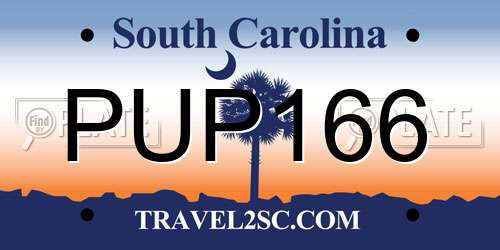 PUP166 South Carolina License Plate