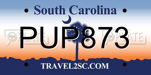 PUP873 South Carolina License Plate