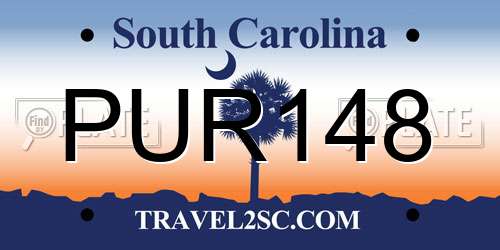 PUR148 South Carolina License Plate