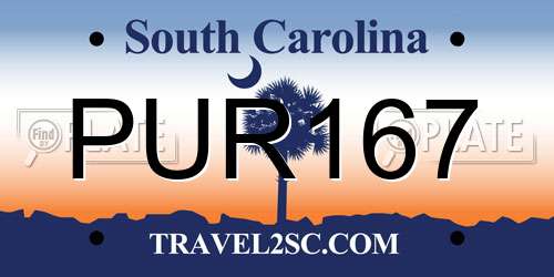 PUR167 South Carolina License Plate