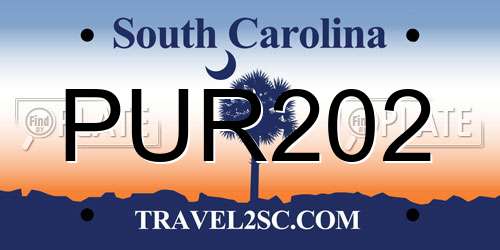 PUR202 South Carolina License Plate