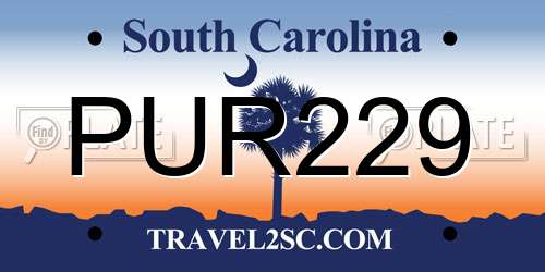 PUR229 South Carolina License Plate