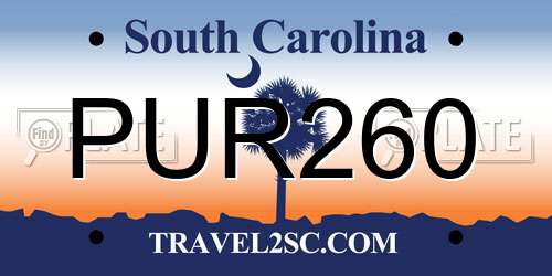 PUR260 South Carolina License Plate