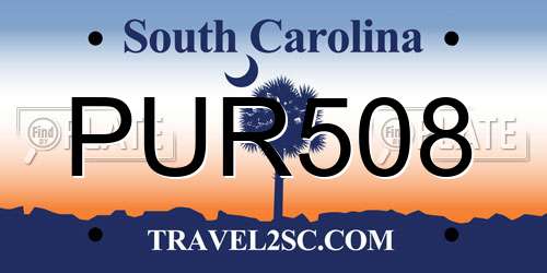 PUR508 South Carolina License Plate