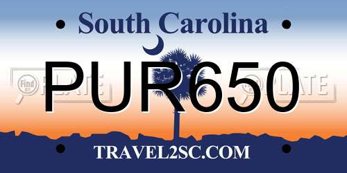 PUR650 South Carolina License Plate