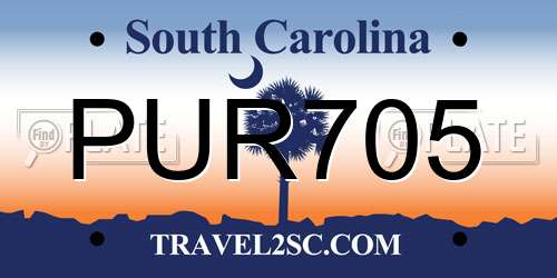 PUR705 South Carolina License Plate