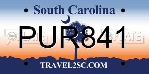 PUR841 South Carolina License Plate