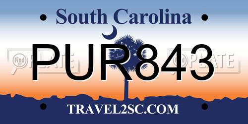 PUR843 South Carolina License Plate