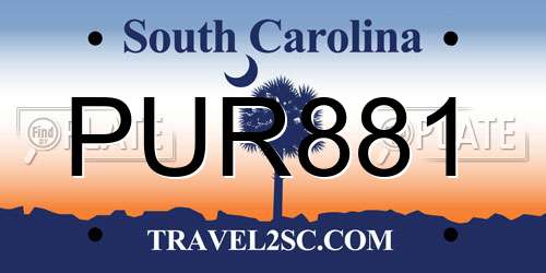 PUR881 South Carolina License Plate